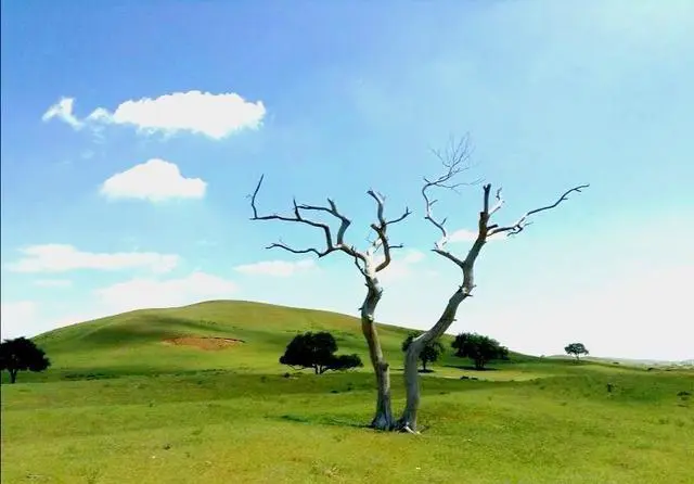 十一放假了,围场坝上草原好玩吗?