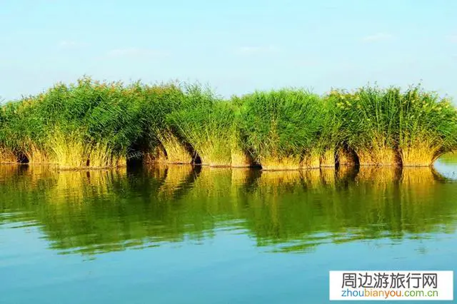 想自驾去宁夏，宁夏周边旅游景点有哪些好玩的呢？