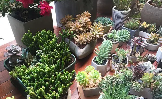 去杭州旅游有哪些值得推荐的民宿？