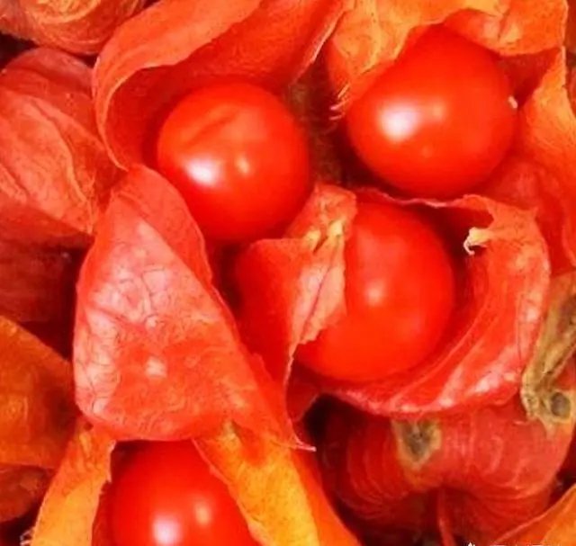 东北有哪些特产呢？