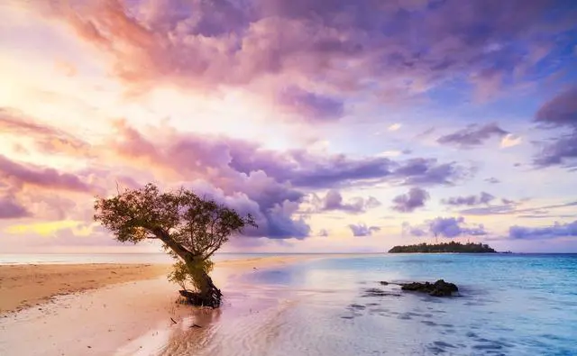 退休了，什么旅游方式最好？