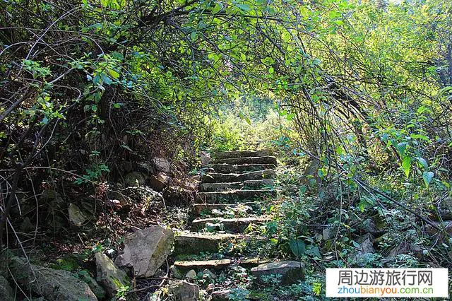 河南境内有哪些免费的山水景点值得推荐的？