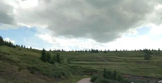 你觉得张北草原的魅力在哪里？