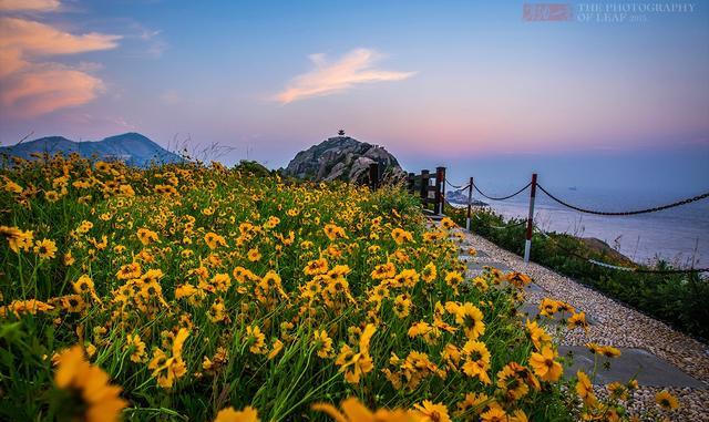 舟山最美的小岛在哪里？