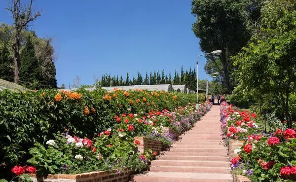 你怎么看待那些说走就走的旅行？