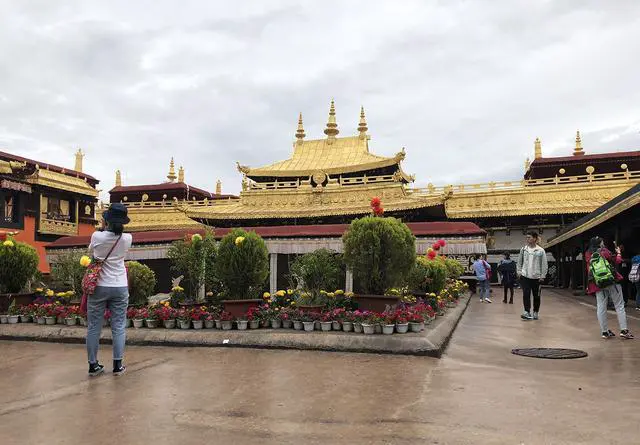 如何知道自己能否适应西藏的高原反应？