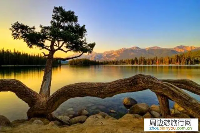 为什么有些想去看的风景去了却很失望？