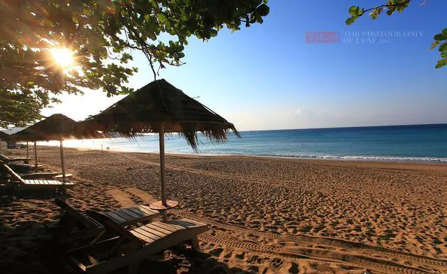 弯弯哪些景点一定要去？