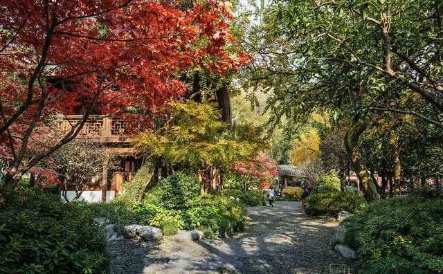 如果只能停留一天，南京旅游赏秋哪里最值得去？