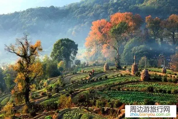 明天准备到婺源旅游，喜欢摄影，有了解的给推荐下现在婺源那些地方特别适合拍摄？