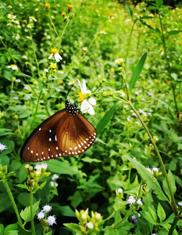 自驾游怎么玩才不累？
