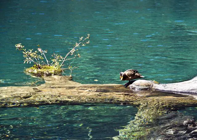 兰州到九寨沟自驾游最路线图推荐