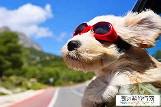 这次口罩后,爱旅行的朋友会不会顾虑未知的危险不敢说走就走?