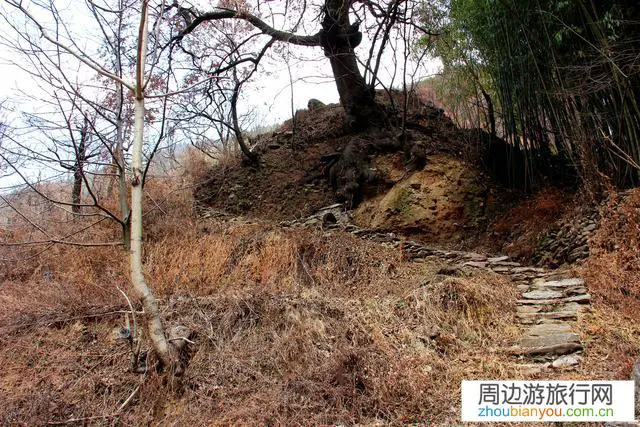 人间最美妙也最令人羡慕的风景是什么？