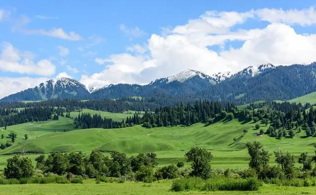 几个朋友旅游，出发了才知道有一个没钱的还不提前说，旅途中屡屡借钱，你们会怎么做？