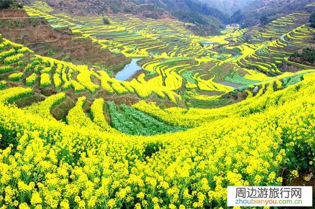 婺源是最美乡村，去婺源旅游还有什么可看的吗？除了油菜花？