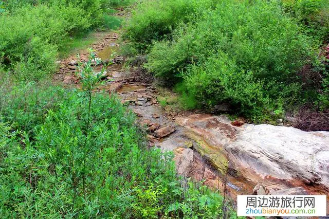 某旅行者在山区迷路，当它发现小溪一直沿着小溪走，为什么？