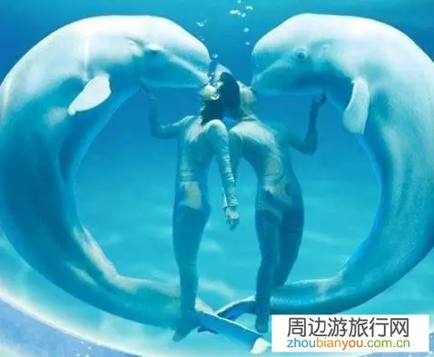 两个女学生冬天去哈尔滨旅游四五天左右，大概要花多少钱？