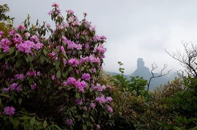 4至5月适合去哪里踏春旅游?
