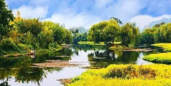 口罩结束,贵州哪些地方适合赏花?