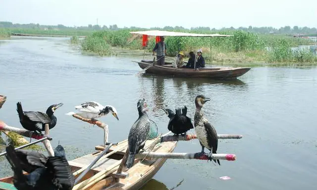 周末想去散心，保定周边有什么不错的地方推荐？