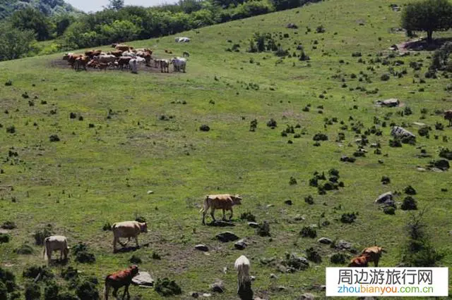 人间最美妙也最令人羡慕的风景是什么？