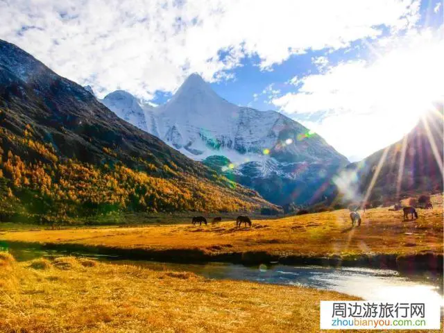 大家一个人的时候想过去旅游吗？