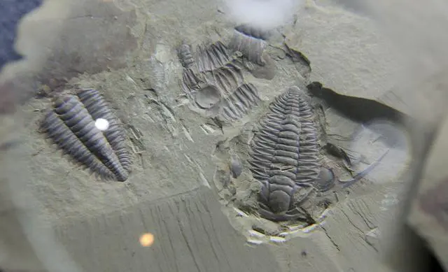 云南有哪些世界文化遗产?