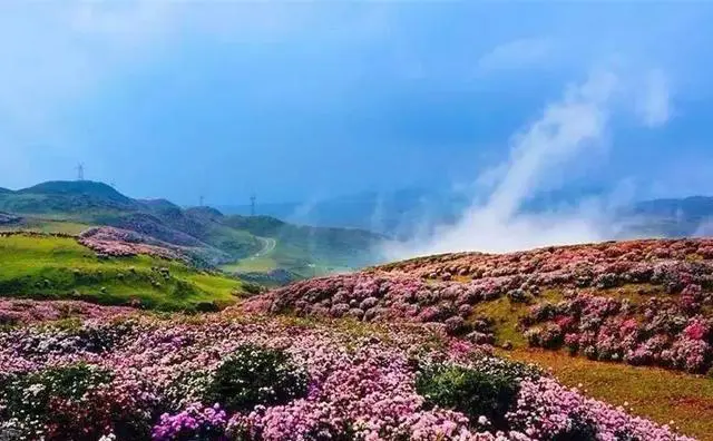 4至5月适合去哪里踏春旅游?