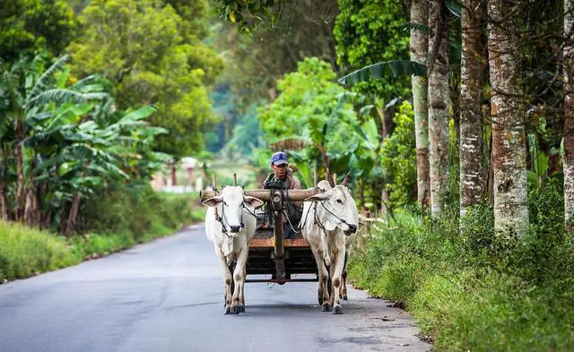 计划十月和十一月份去海边玩，有哪些好的地方推荐？
