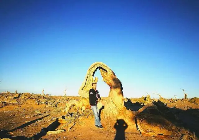 长途自驾旅行需要配备什么?