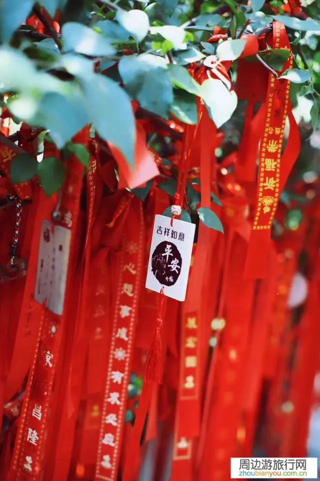 心情不好，你觉得出去旅游会是个好方法吗？