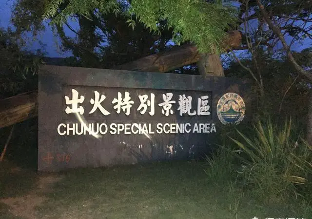 带孩子游玩弯弯有哪些攻略？