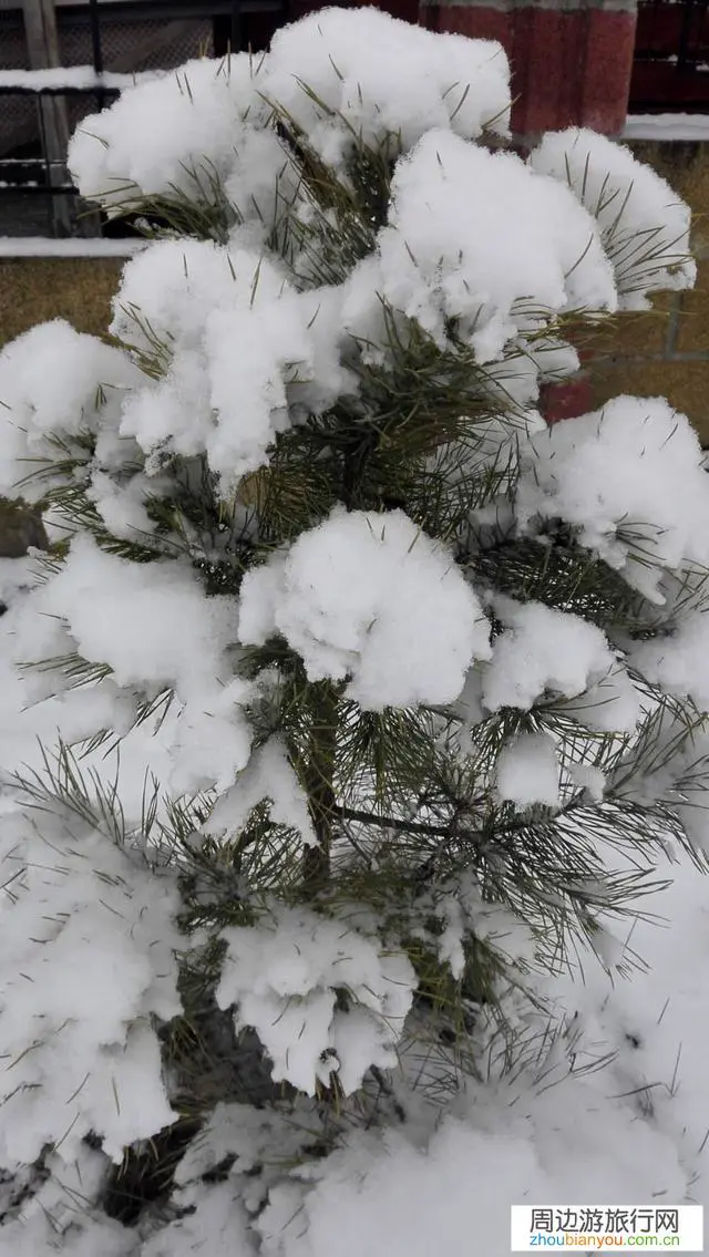 你在贝加尔湖有哪些游玩的经历值得分享？