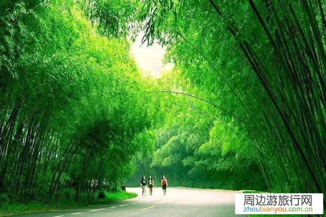 河南全域旅游第一县是哪个县?全域旅游是怎样发展起来的?