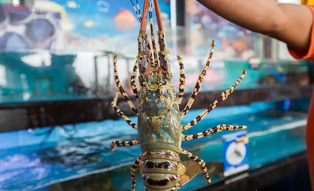 三亚去哪里吃海鲜又好又实惠？