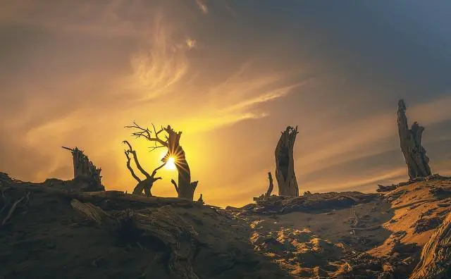 去额济纳胡杨林旅游，让你最接受不了的是什么？