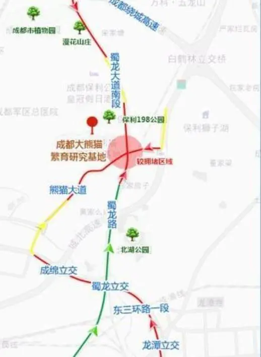 去成都看大熊猫游玩攻略