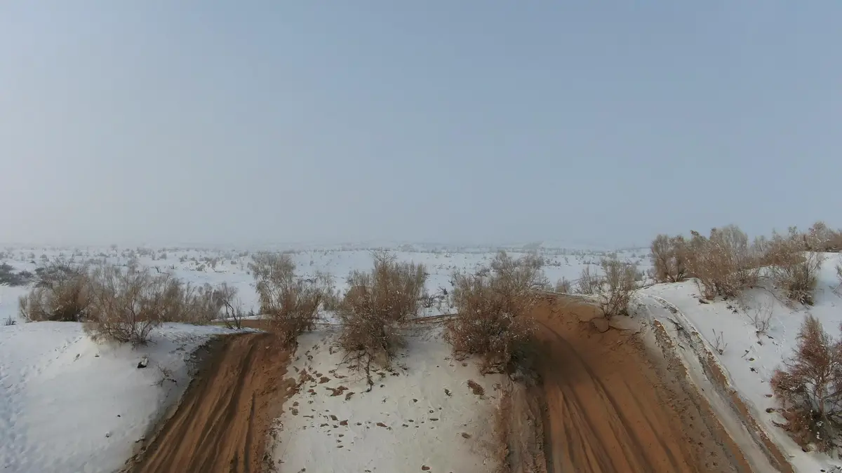 报团旅游去伊犁报价_伊犁去旅游报团好还是自由行好