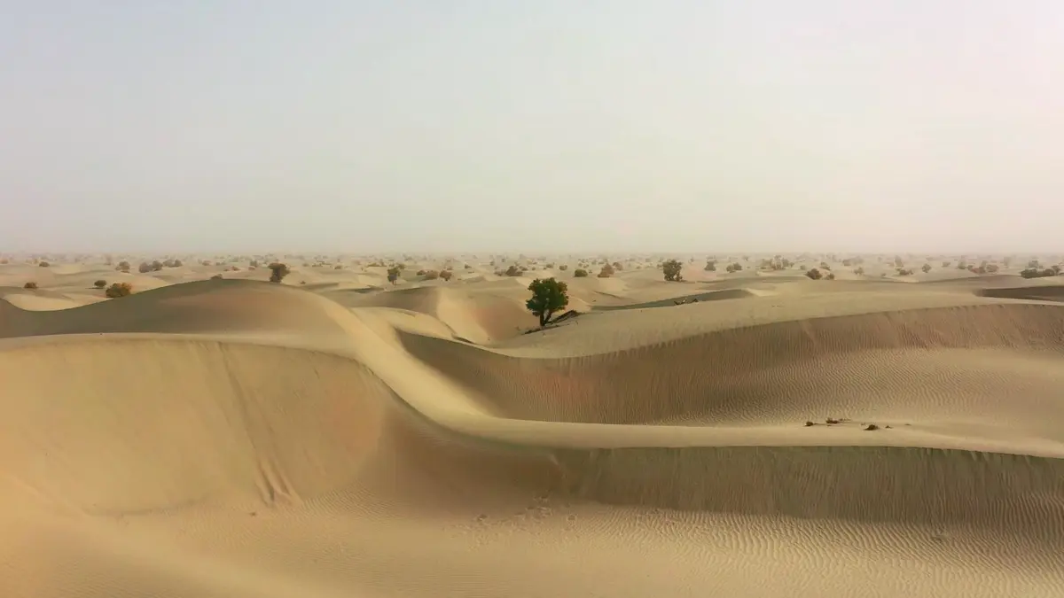 鞍山去新疆的旅游报价_鞍山去新疆的旅游报价多少