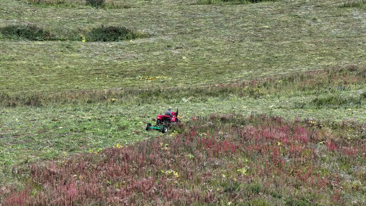 10月份去那拉提旅游报价_10月份去那拉提旅游报价表