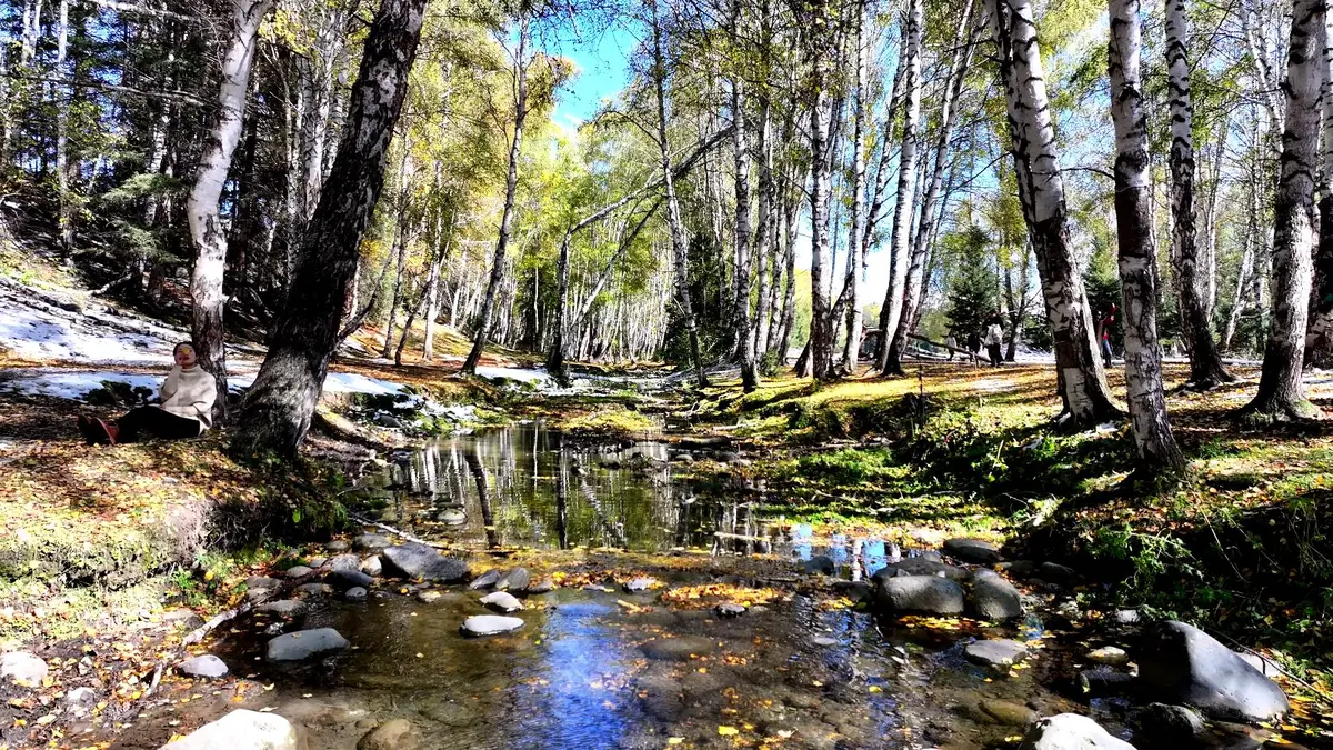 那拉提8日游报价_那拉提一日游攻略