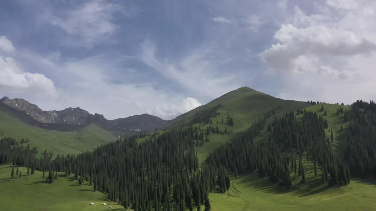 鞍山去新疆的旅游报价_鞍山去新疆的旅游报价多少