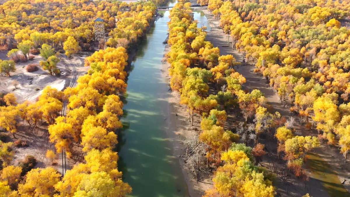 鞍山去新疆的旅游报价_鞍山去新疆的旅游报价多少