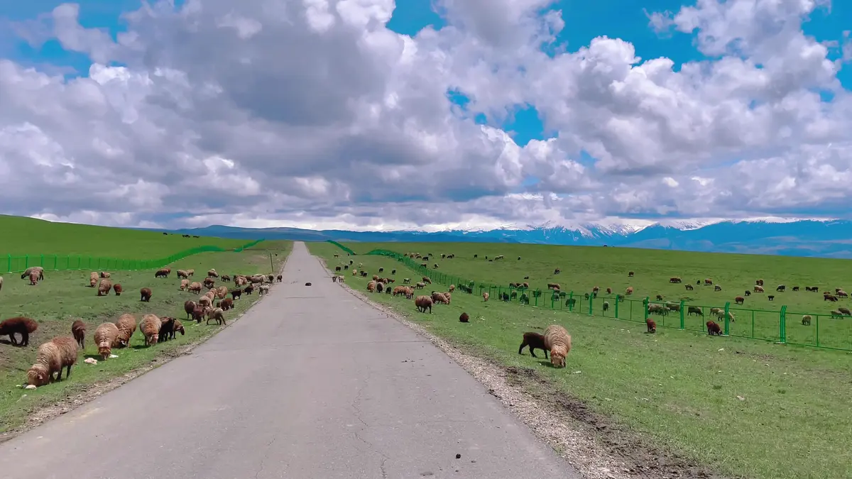 6月赴赛里木湖旅游报价_赛里木湖旅游门票多少钱