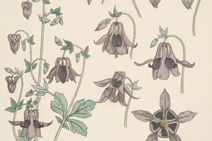 宮本輝新作《草花靜靜的誓言》：以海風與草花的呼吸，書寫生命的懸疑與敬意