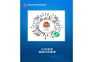 事关灵活就业人员养老保险！12月底截止