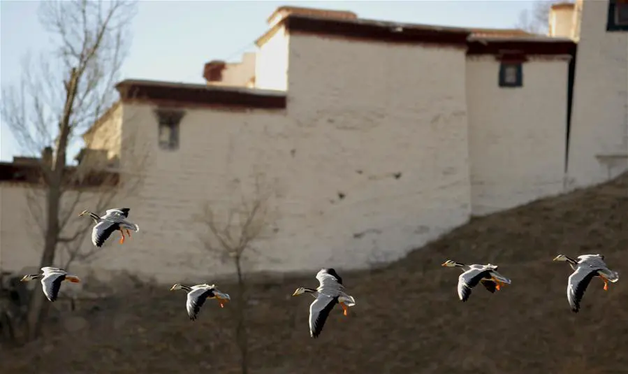 134995092_11n.jpg 134995092_11n.jpg