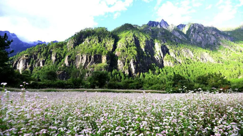 sy_64314324392.jpg sy_64314324392.jpg