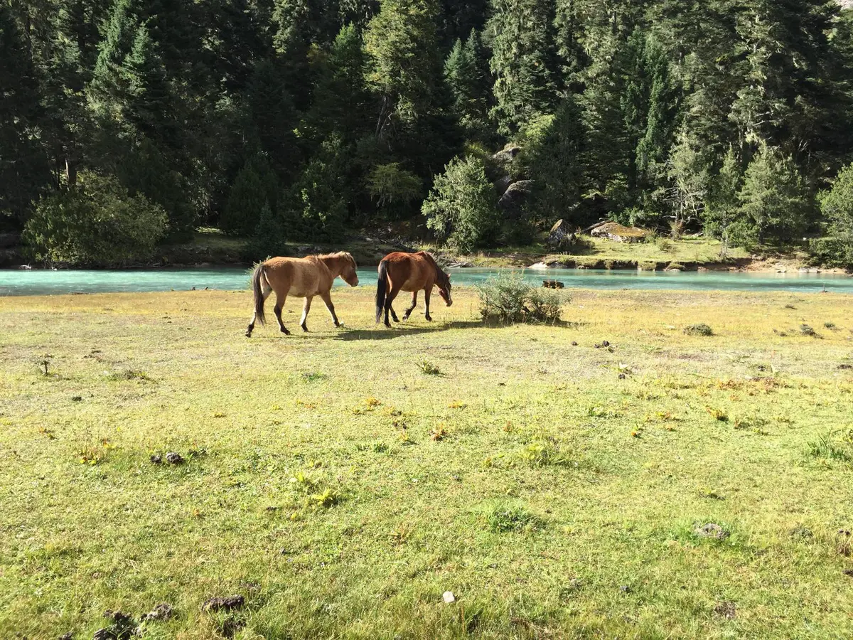 图片4.jpg 图片4.jpg